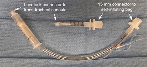 Fona Front Of Neck Airway Equipment Anesthesia Airway Management Aam Airway Management