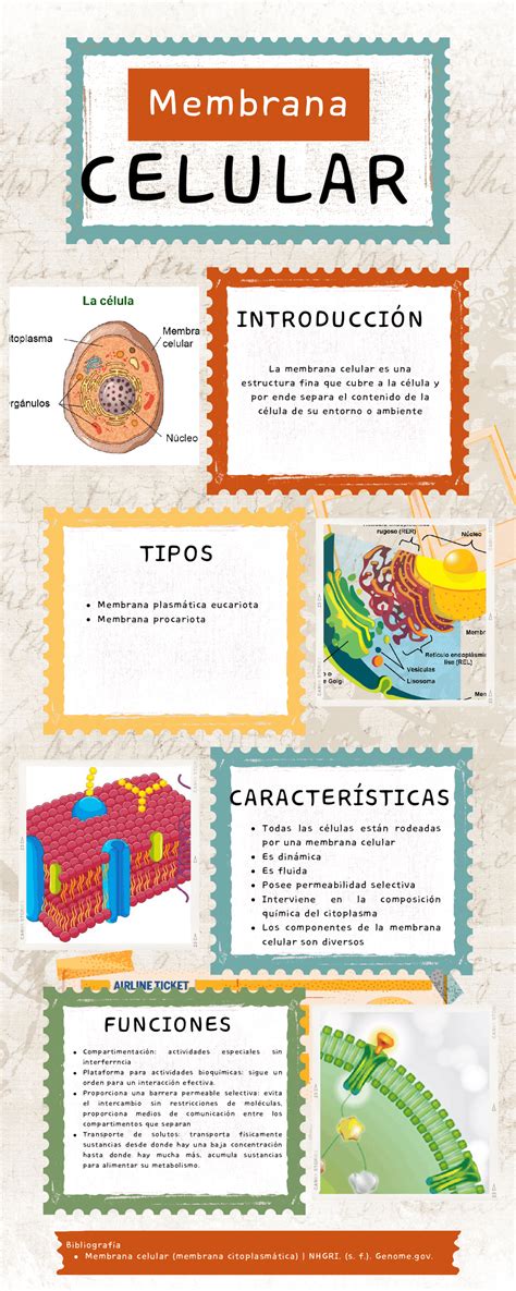 Membrana celular y sus componentes Resúmenes de Biología Vegetal