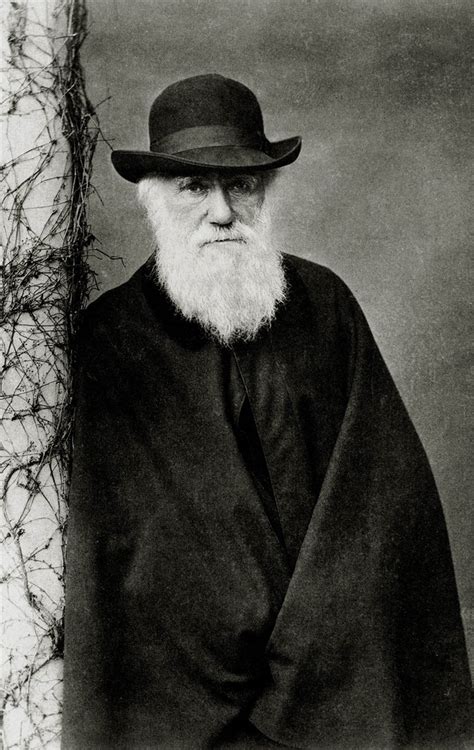 Darwin El Padre De La Teoría De La Evolución
