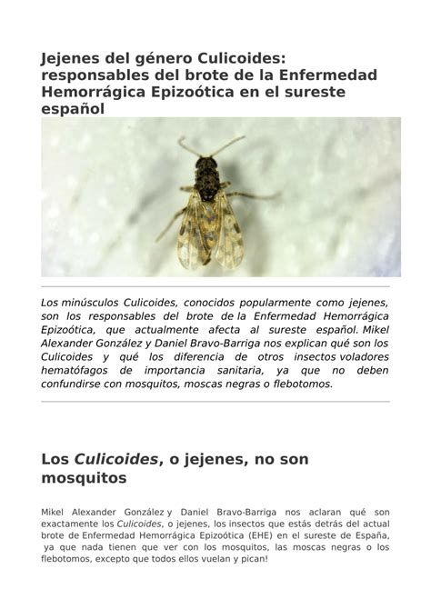 Pdf Jejenes Del G Nero Culicoides Responsables Del Brote De La