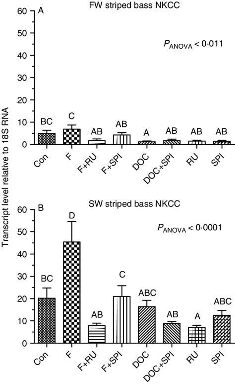 In Vitro Effect Of Cortisol And Doc On Nkcc Mrna Expression In Fw A