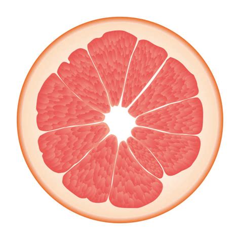Pink Grapefruit Illustrations Royalty Free Vector Graphics And Clip Art
