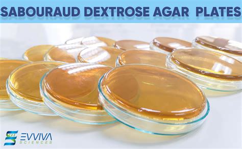 Sabouraud Dextrose Agar Plates Evviva Sciences Excellent For