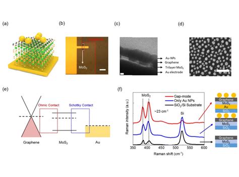 Atomically Thin Schottky Junction With A Gap Mode Plasmon For Enhanced