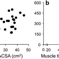 Relationships Between The Maximal Torque During Hip Extension Task And