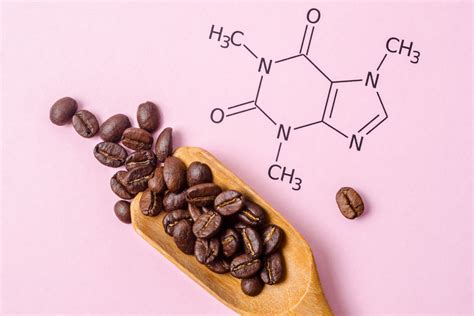 Chemical Composition Of Coffee Beans The Detailed Chemistry Compounds