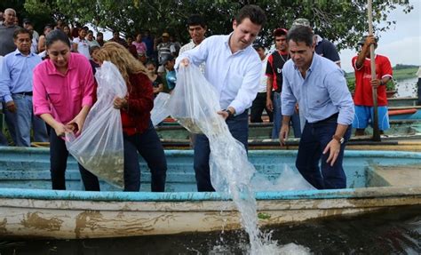 Regresa Gaudiano a Villa Luis Gil Pérez y libera 15 mil peces van 310