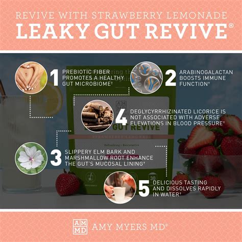 Amy Myers Md Leaky Gut Revive Powder For Gut Repair الكويت Ubuy