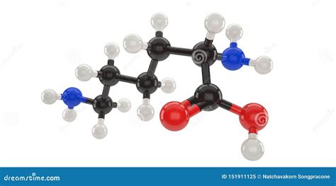 Lysine Molecule Structure Royalty Free Stock Image 53033722