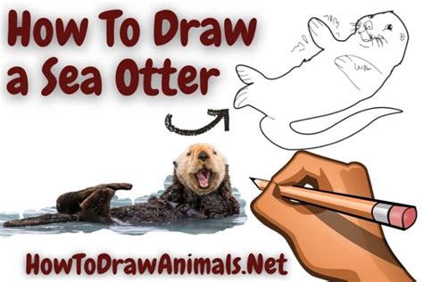 How To Draw A Moray Eel Easy Drawing Tutorial