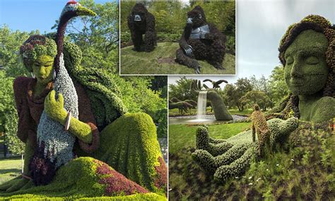 Edward Scissorhands eat your heart out! Topiary experts show why they ...