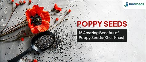 Top 10 Health Benefits Of Poppy Seeds Khas Khas Truemeds