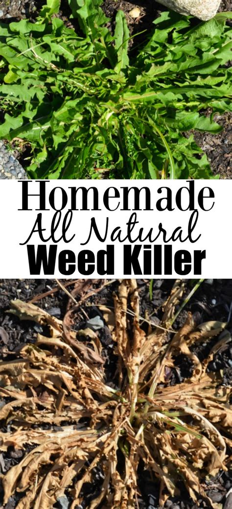 Homemade All Natural Inexpensive Weed Killer Serena Bakes Simply From Scratch