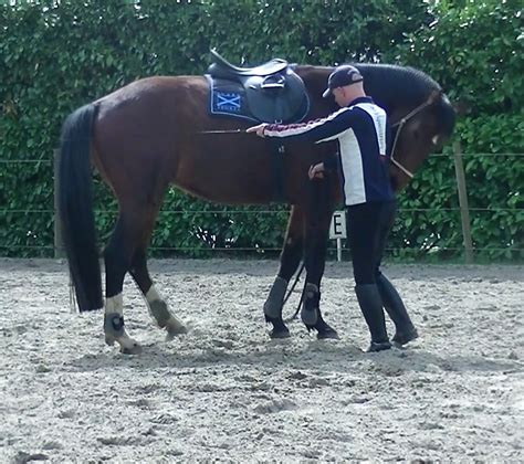 Grondwerk Paard PaardenNatuurlijk