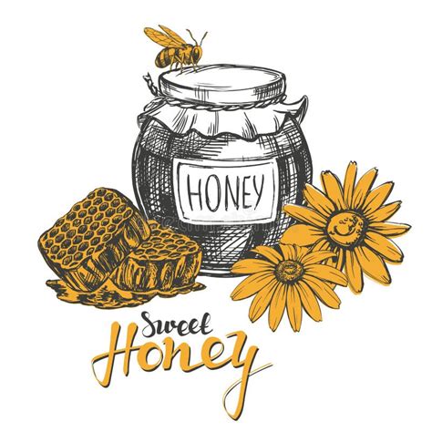 Honey Design Elements Set Detailed Engraved Vintage Hand Drawn