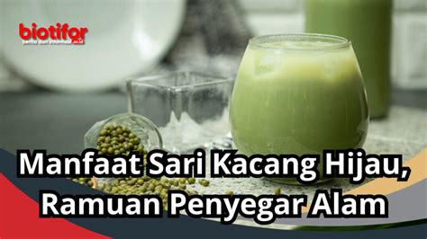 Manfaat Sari Kacang Hijau Ramuan Penyegar Alam Biotifor