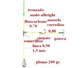 Pesca Al Vivo Tipos De Carnada Y Montajes Espesca