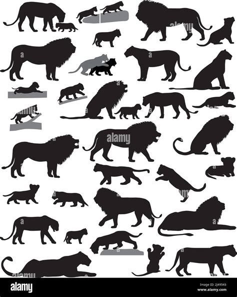 Lion cubs wild Stock Vector Images - Alamy