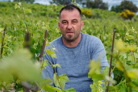 Farmer Ante Iz Ljubav Je Na Selu Otkrio To Ga Mo E Odmah Odbiti Kod