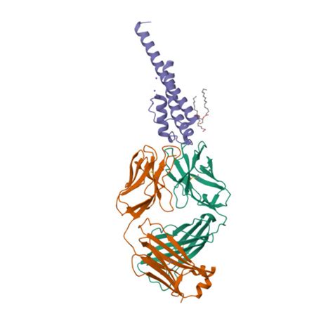 Rcsb Pdb By Closed And Deep Inactivated Conformation Of Kcsa T A