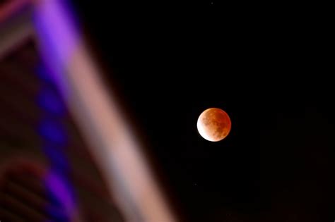 El Eclipse Lunar M S Largo Del Siglo Revel Una Rara Especie De Hongo