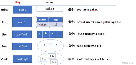 Redis Redis Csdn