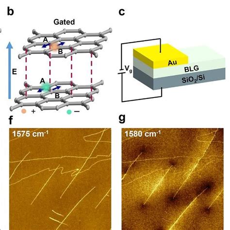 Quantitative Analysis Of Local Strains In Gated Bilayer Graphene A