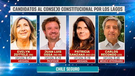 Conozca Los Candidatos Al Consejo Constitucional Por La Regi N De Los