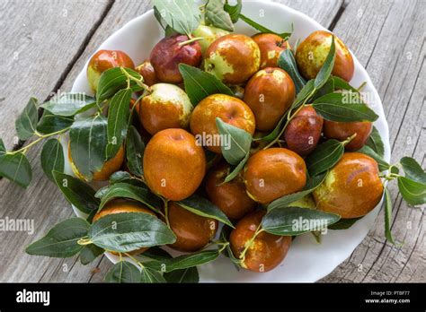 Plate Of Jujubes Fruit Abruzzo Stock Photo Alamy