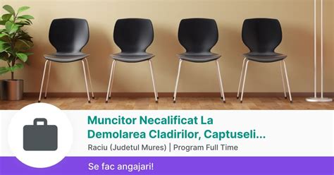 Muncitor Necalificat La Demolarea Cladirilor Captuseli Zidarie Placi