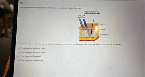 Solved The Diagram Shows Two Types Of Ultraviolet Uv Rays
