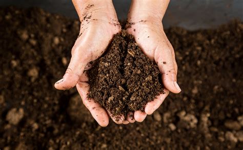 Heat Treating Topsoil Fine Bark Mulch And Growing Media Blends Stronga