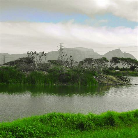 A The Edith Stephens Wetland South Africa Pictured Here With Table