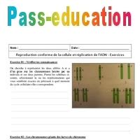 Reproduction Conforme De La Cellule Et R Plication De Ladn Premi Re