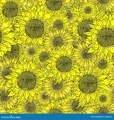 Hand Drawn Seamless Sunflower Pattern Stock Vector Illustration Of Drawing Garden 213346233