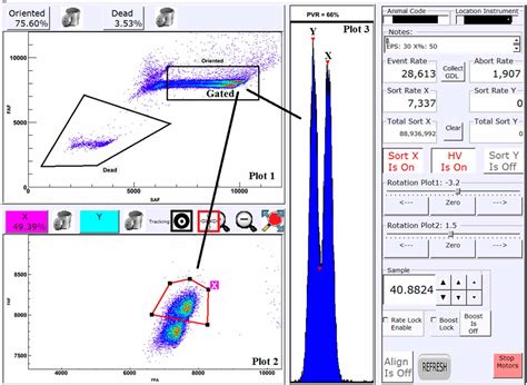 Review Semen Sexing Current State Of The Art With Emphasis On Bovine