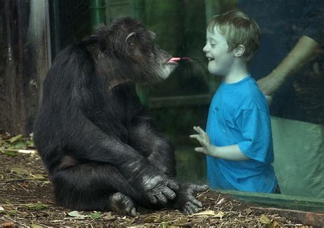 Funny Pictures Of Kids And Animals 30 Pics Amazing Creatures