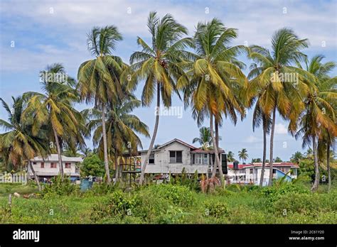 Guyana House Hi Res Stock Photography And Images Alamy