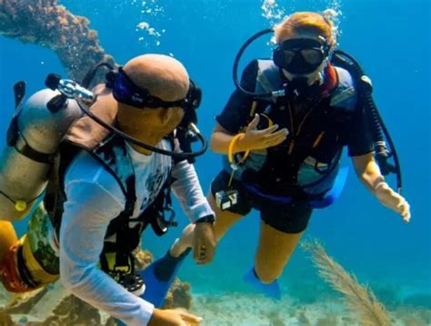 Scuba Diving In Dubai Scuba Diving Packages Nemo Diving Center