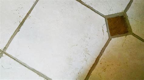 How To Clean Textured Ceramic Tile Floors Floor Roma