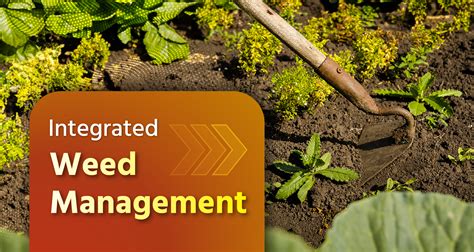 Integrated Weed Management