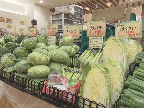 レタスは去年の倍の値段に葉物野菜が8月の長雨で高騰「台風の進路次第では青果物全体に影響」の懸念も 東海テレビnews