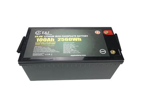 Built In Active Cell Balancing Bms Lifepo4 Battery Pack 24v 100ah Deep