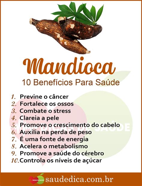 Mandioca Mandiocabeneficios Mandiocaorigem Mandiocanutrientes