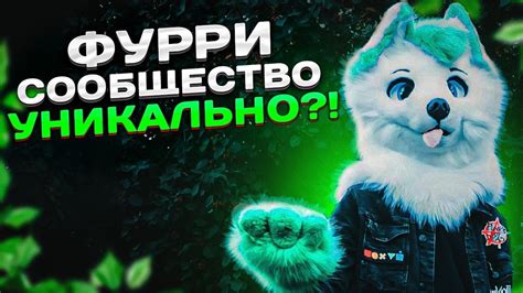 ЧЕМ УНИКАЛЬНЫ ФУРРИ? - YouTube