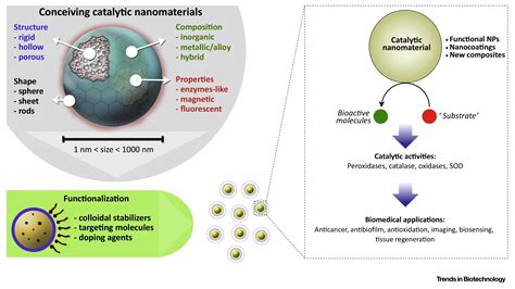 Emerging Biomedical Applications Of Enzyme Like Catalytic Nanomaterials