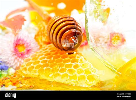 Natural Honey With Wild Bees Stock Photo Alamy