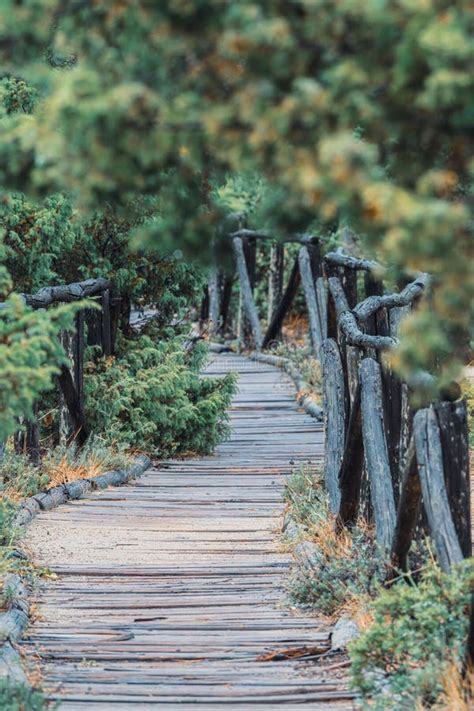 Serene Wooden Pathway Surrounded By Lush Greenery And Rustic Wooden