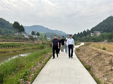 中国环境科学研究院到苍溪县调研农村黑臭水体治理工作腾讯新闻