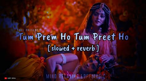 Tum Prem Ho Tum Preet Ho Slowed Reverb Radha Krishna Lofi Song